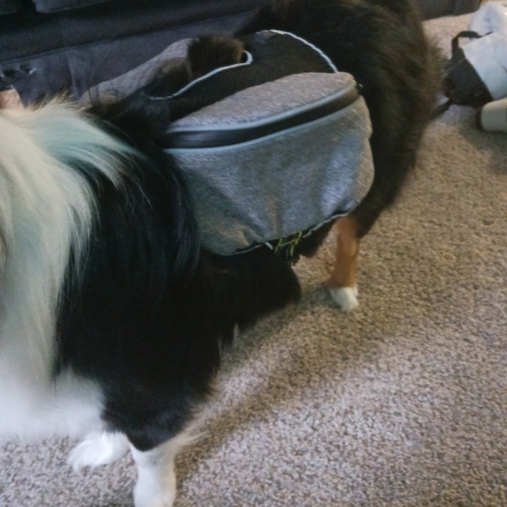 Arcadia Crossbody Dog Bag - S